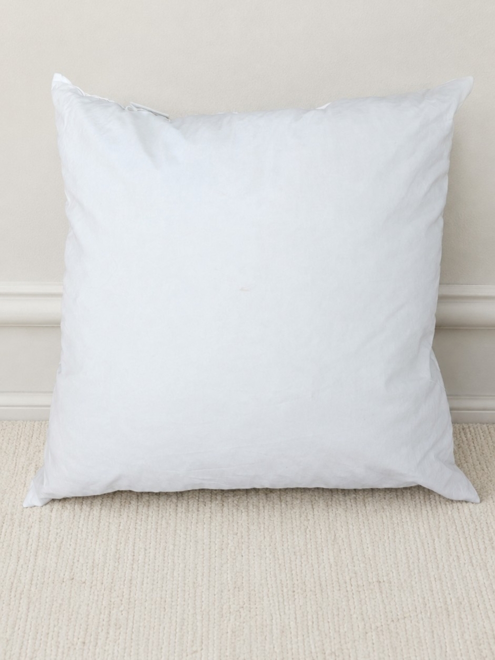 Authentic Pottery Barn down/feather decorative pillow insert in classic 20" x 20